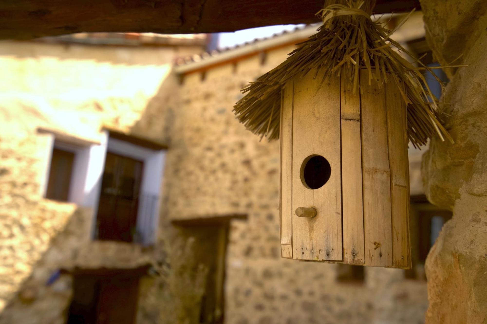 منزل الضيف La Cuevarruz  في El Cau Dels Somnis المظهر الخارجي الصورة